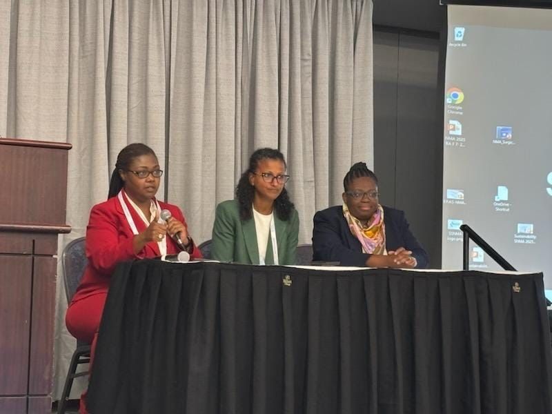 Three panelists speaking at a Section event